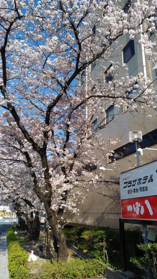 Hamakita Plaza Hotel Hamamatsu Zewnętrze zdjęcie